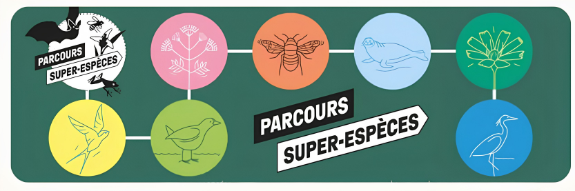 Parcours Super Espèces 2026